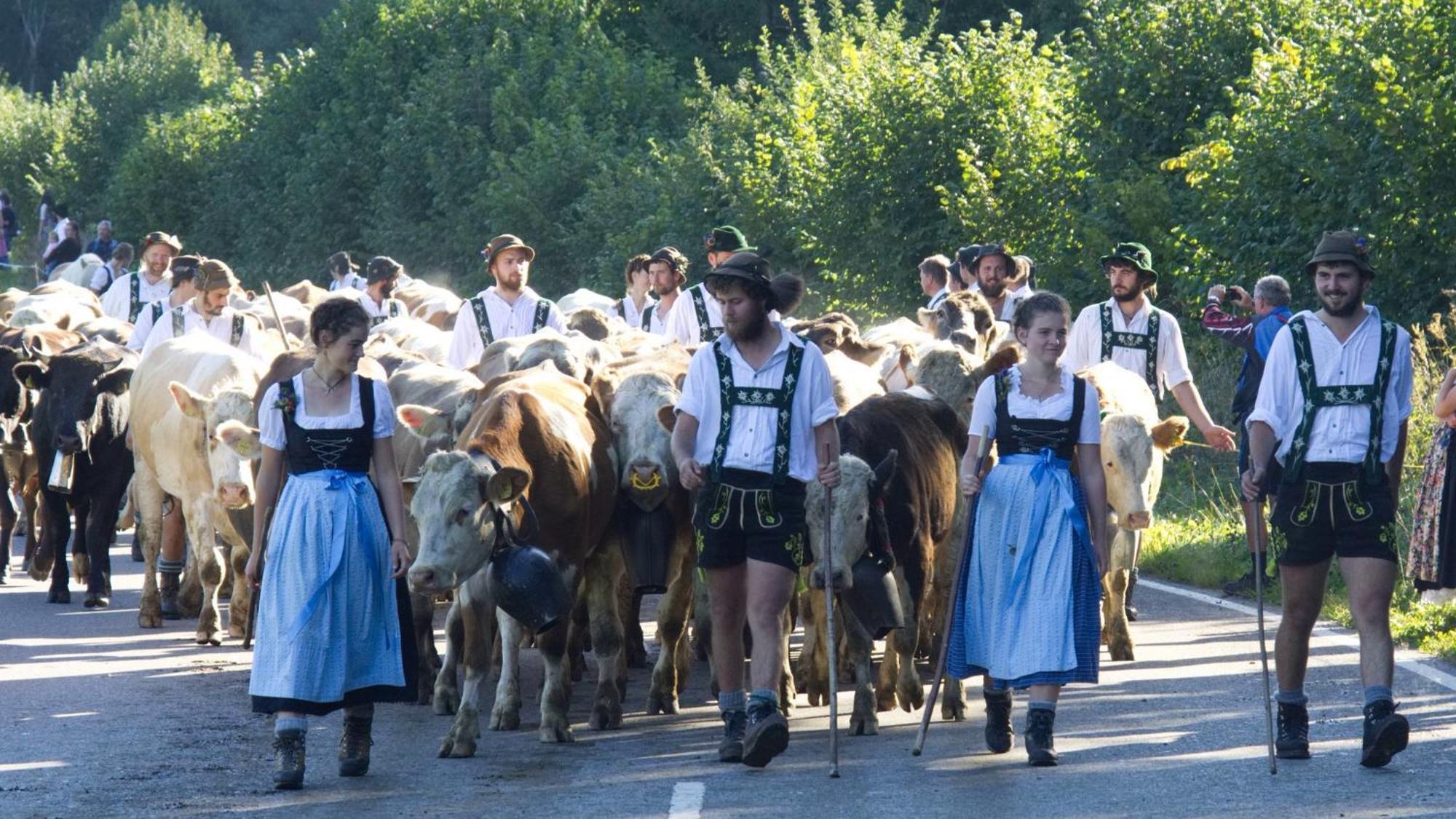 Fewo "Staufner Domizil" Oberstaufen Zewnętrze zdjęcie
